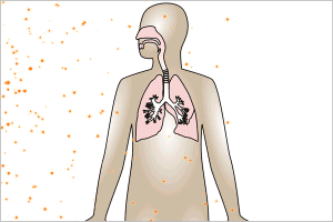 Contaminação interna pelo trato respiratório