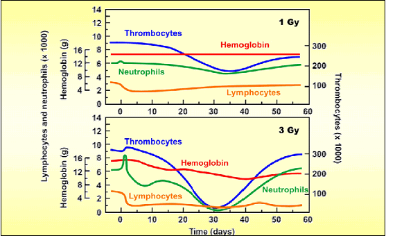 Efeitos da radiação sobre as contagens sanguíneas — 1 Gy versus 3 Gy