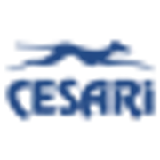 Logo de Grupo Cesari