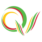 Logo de Química Verde Transportes