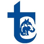 Logo de Transportes Cavalinho